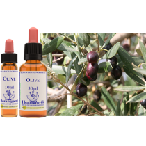 bach healing olive/olijf